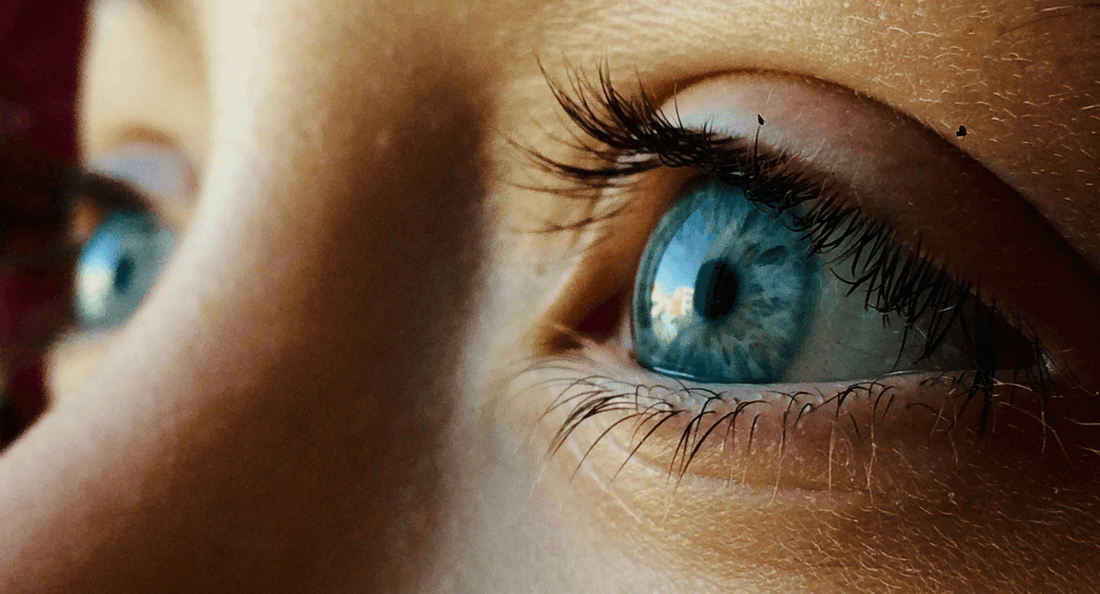 Clear Vision Ahead: Exploring Alcon Vision Contact Lenses