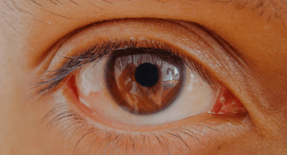 Bausch and Lomb Color Contact Lenses – The Perfect Blend of Fashion & Eye Care in Bangalore